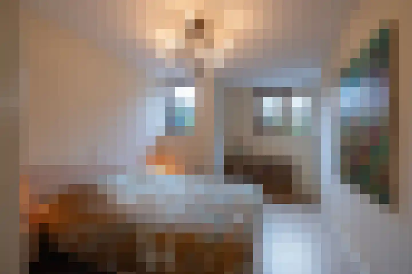 Schotweg 11 Hulshorst thumbnail 41