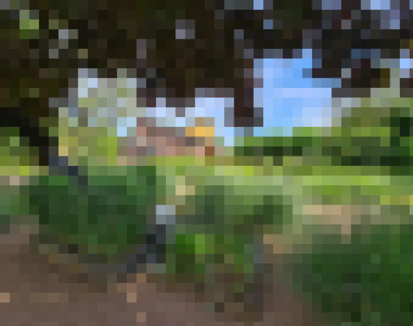 Schotweg 11 Hulshorst thumbnail 5