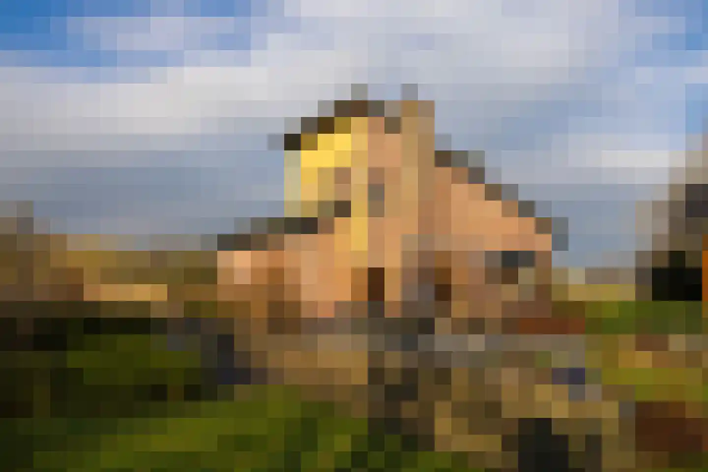 Schotweg 11 Hulshorst thumbnail 64