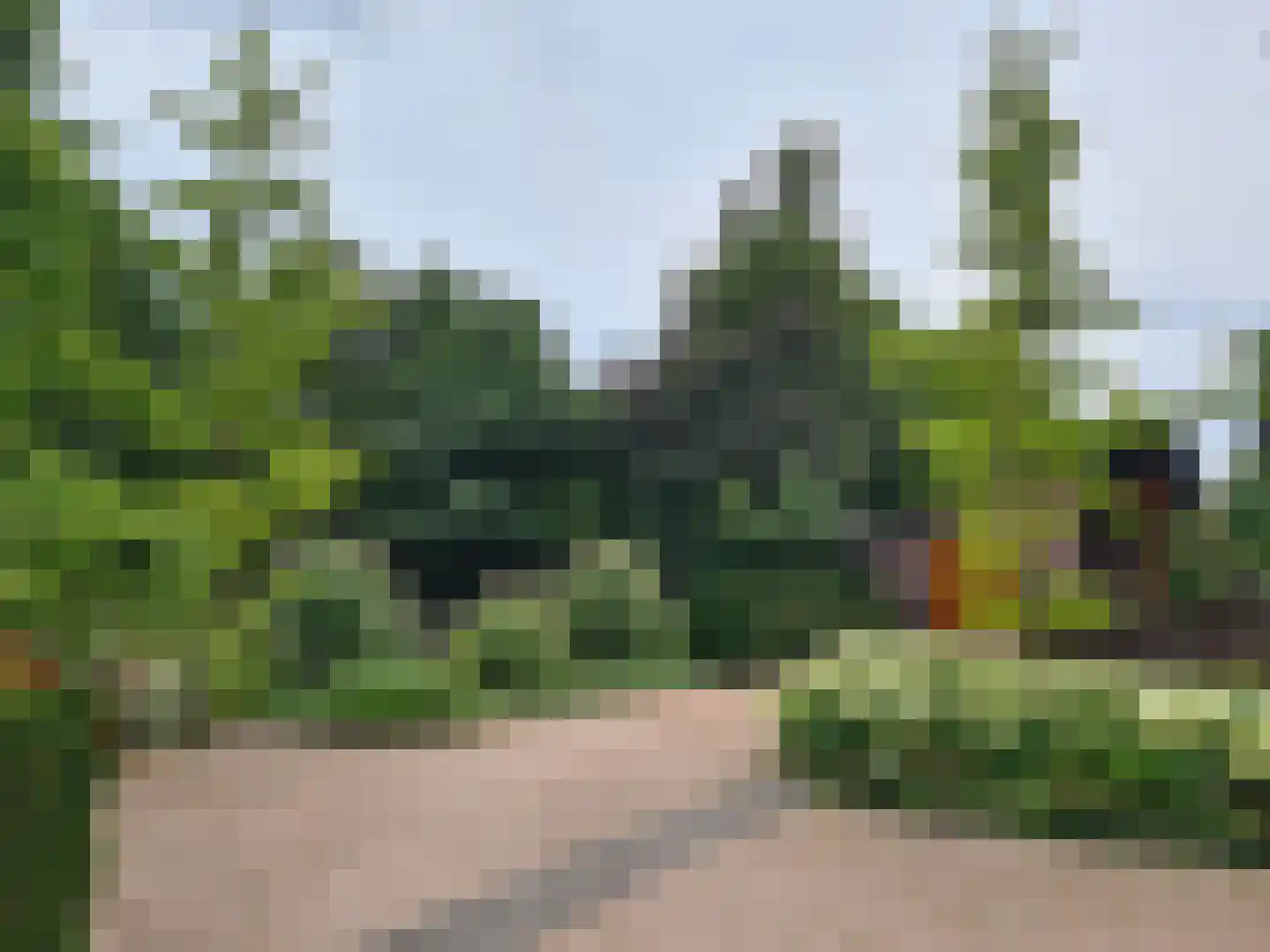 Schotweg 11 Hulshorst thumbnail 70