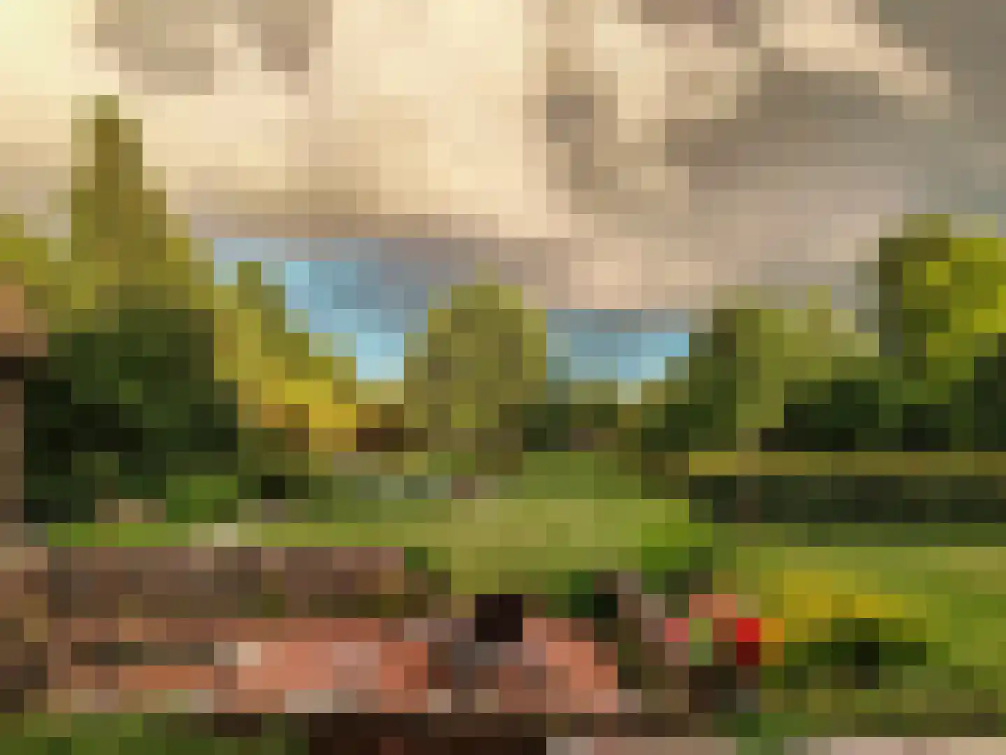 Schotweg 11 Hulshorst thumbnail 71