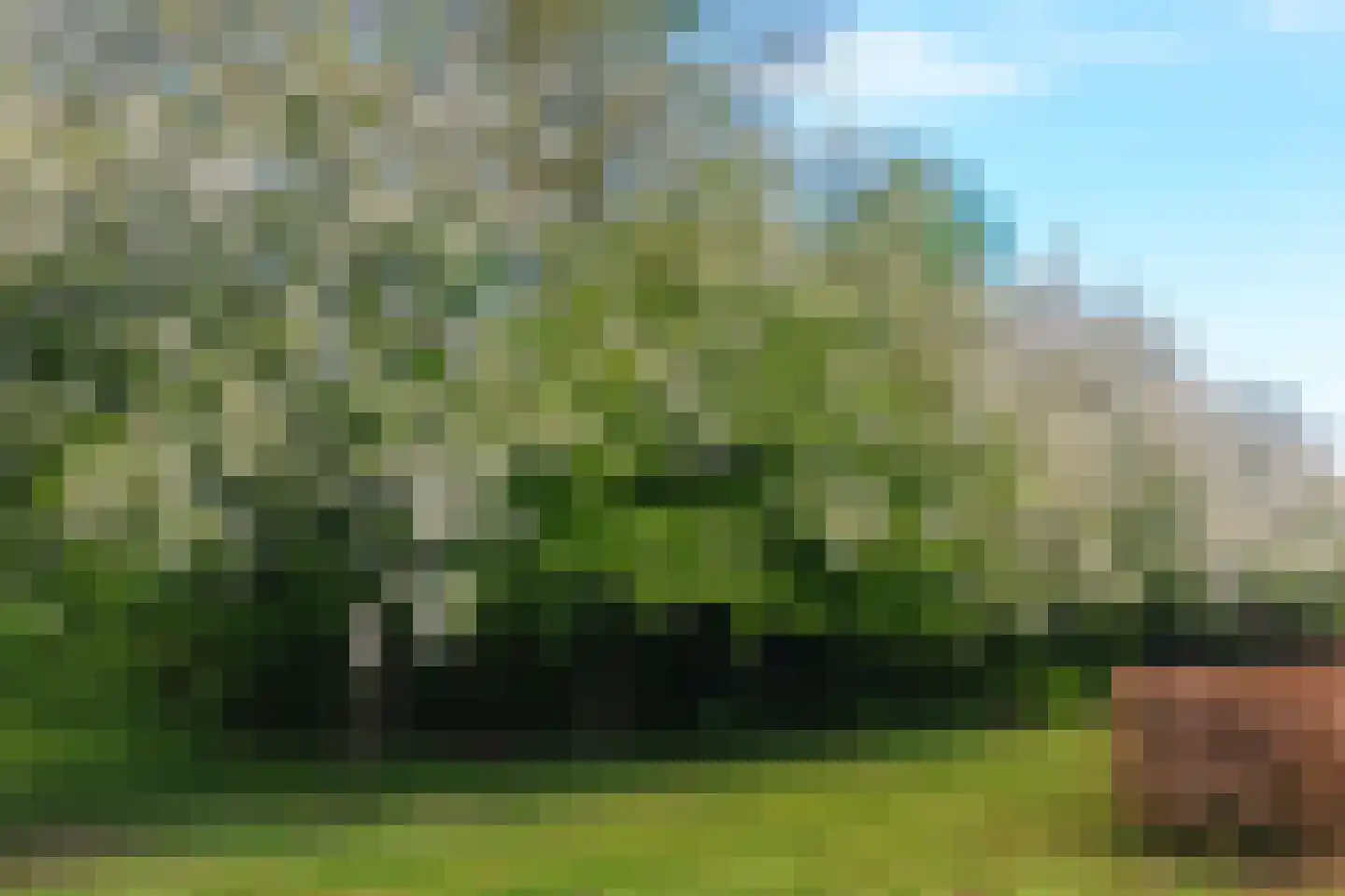 Schotweg 11 Hulshorst thumbnail 72