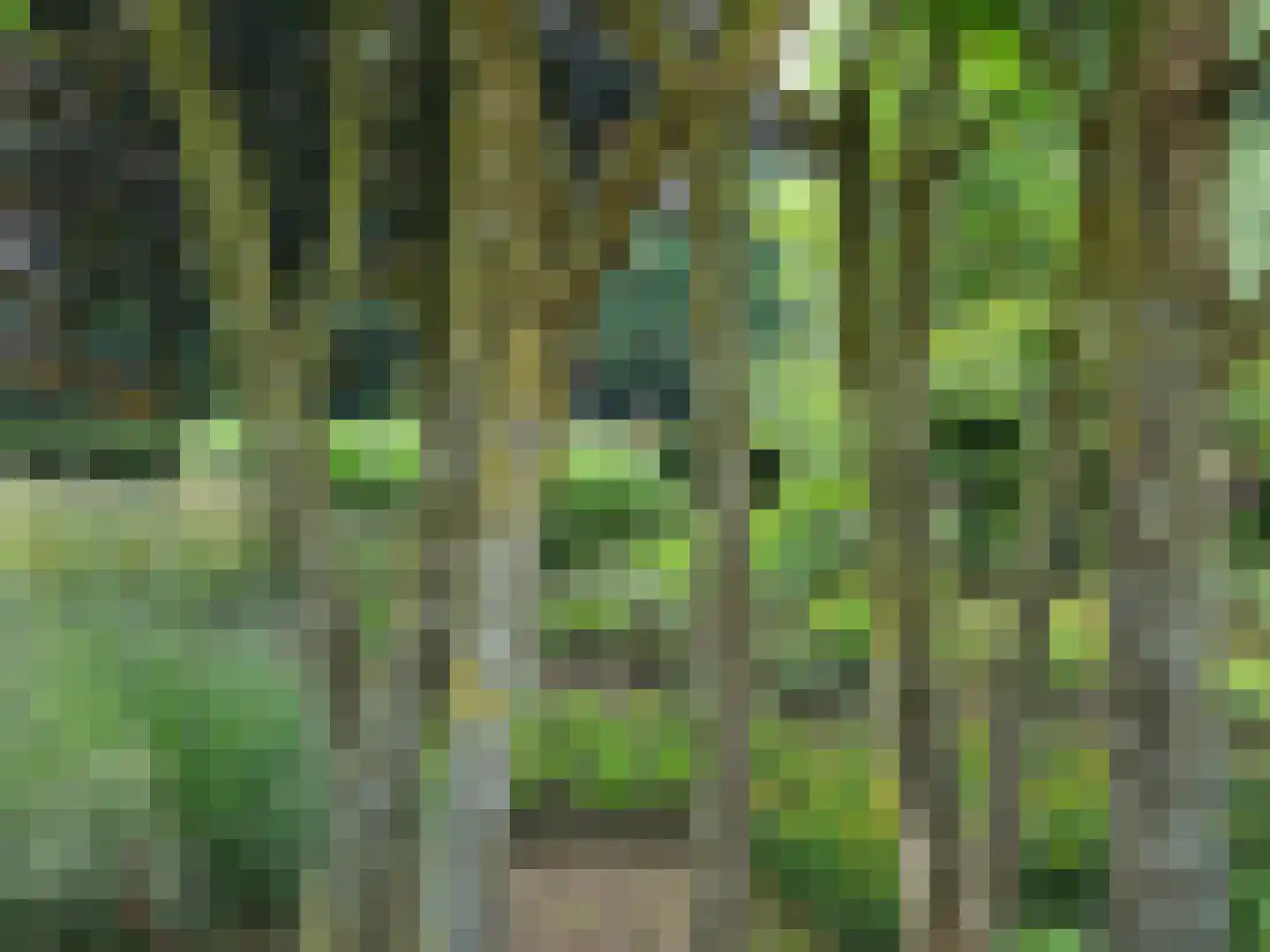 Schotweg 11 Hulshorst thumbnail 74