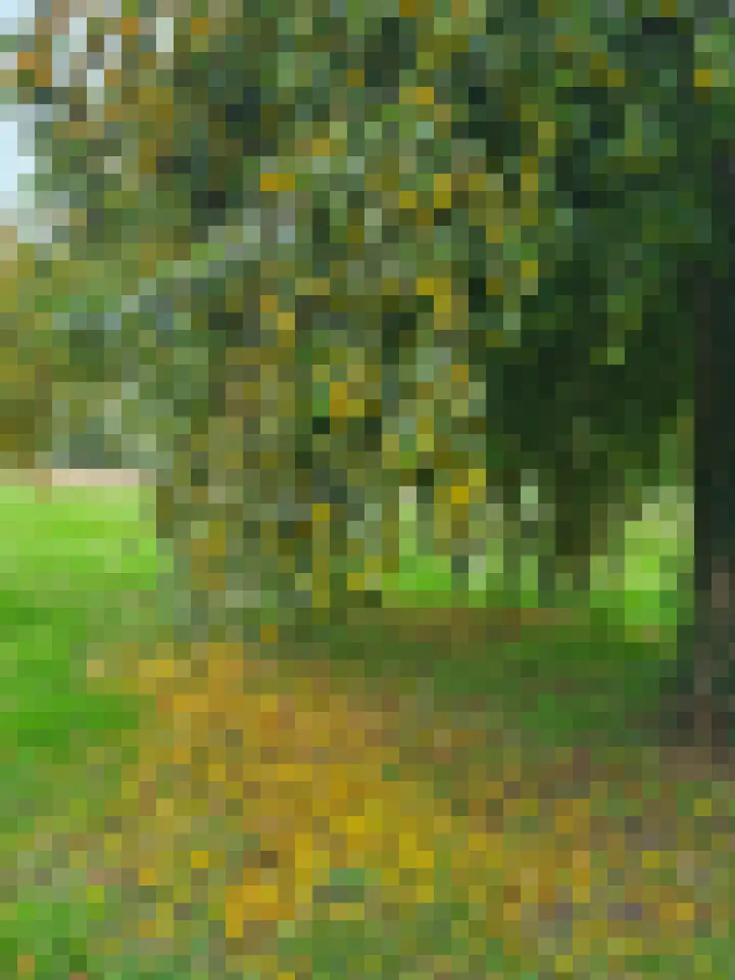 Schotweg 11 Hulshorst thumbnail 77