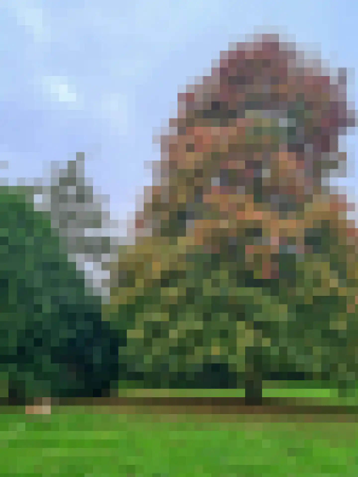 Schotweg 11 Hulshorst thumbnail 79