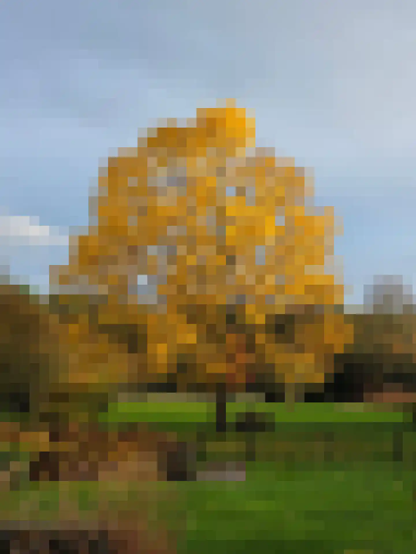 Schotweg 11 Hulshorst thumbnail 8