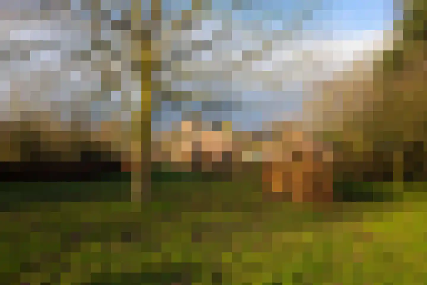Schotweg 11 Hulshorst thumbnail 81
