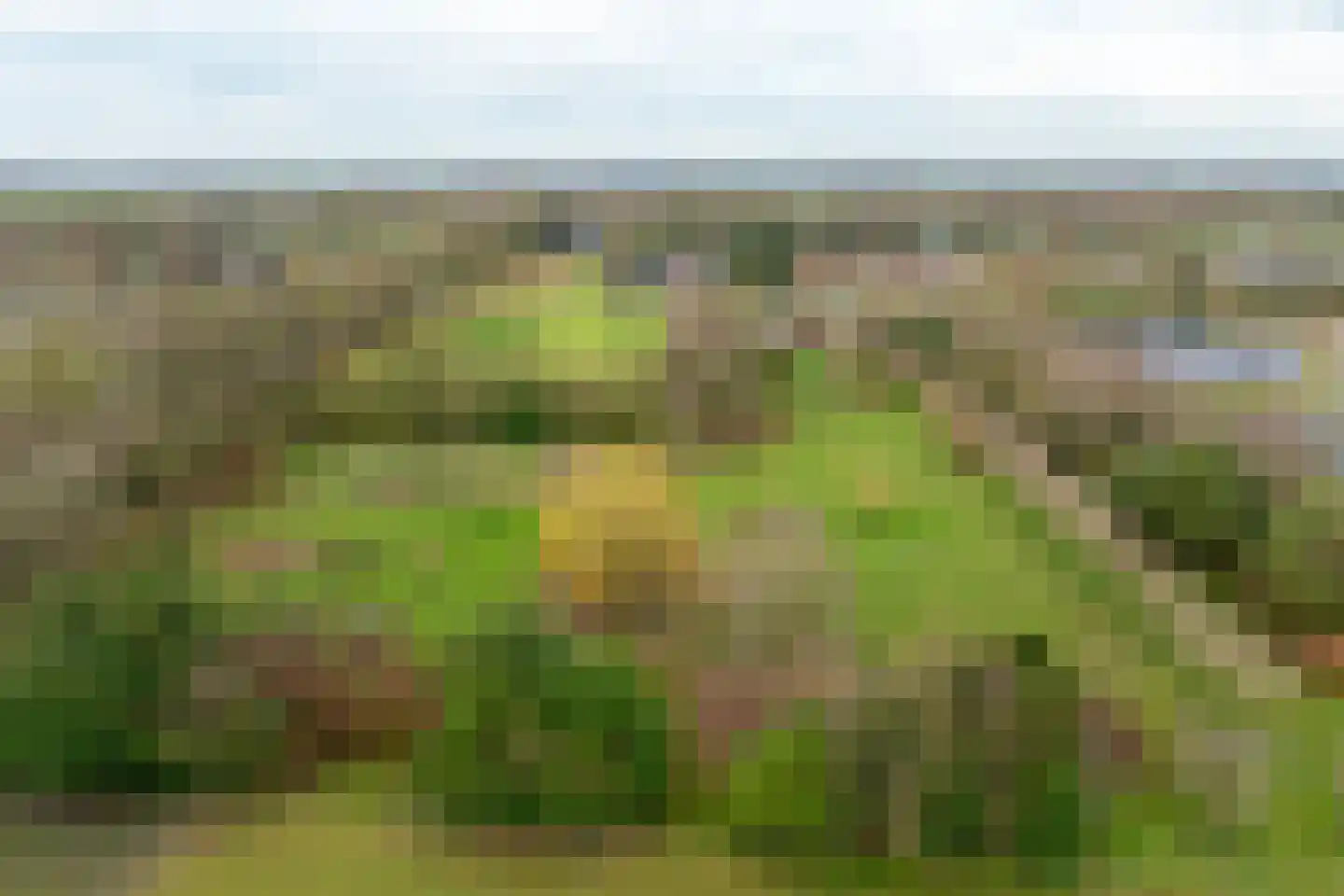 Schotweg 11 Hulshorst thumbnail 85