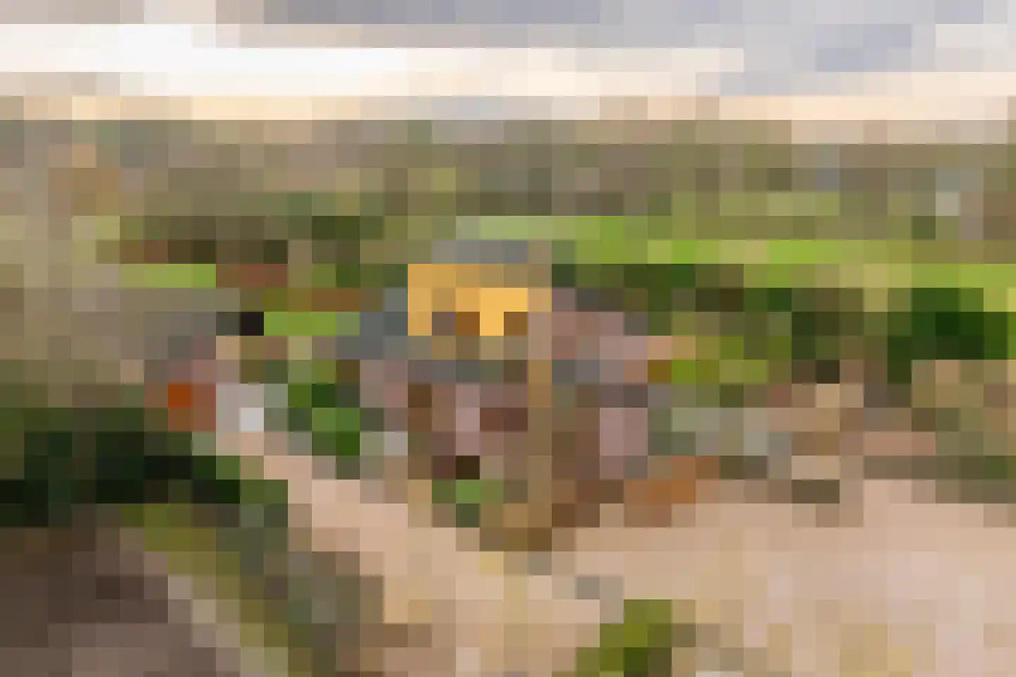 Schotweg 11 Hulshorst thumbnail 9