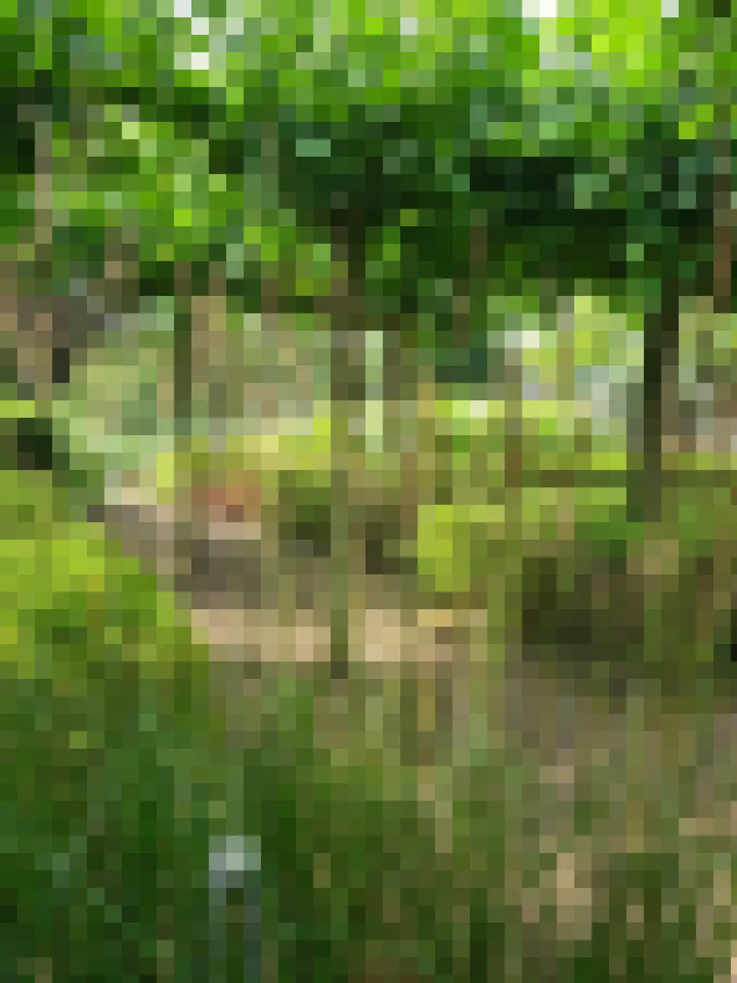 Schotweg 11 Hulshorst thumbnail 90