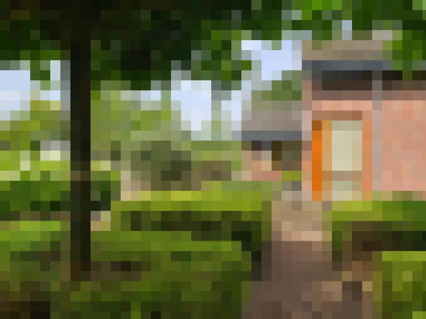 Schotweg 11 Hulshorst thumbnail 91