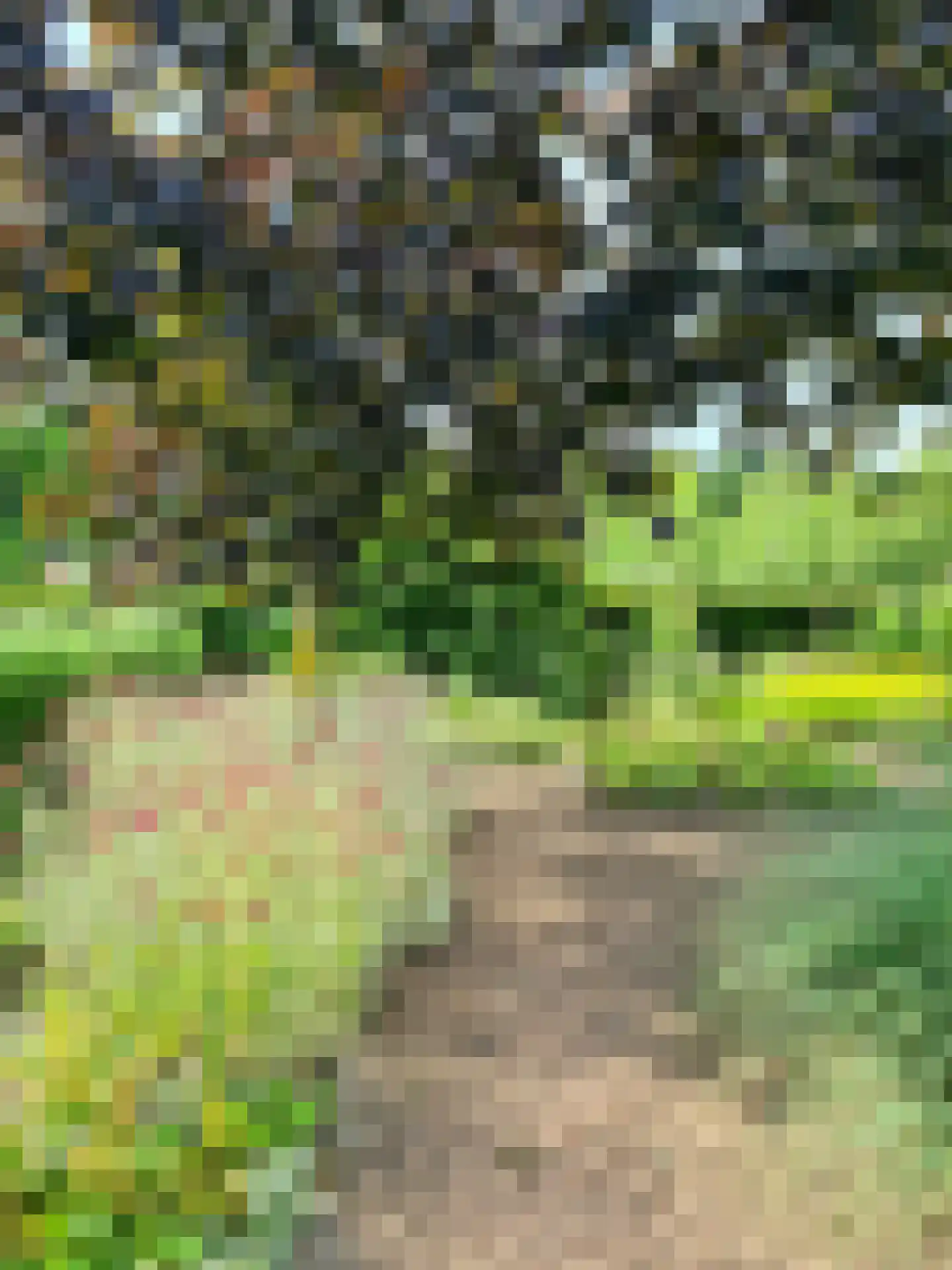 Schotweg 11 Hulshorst thumbnail 92