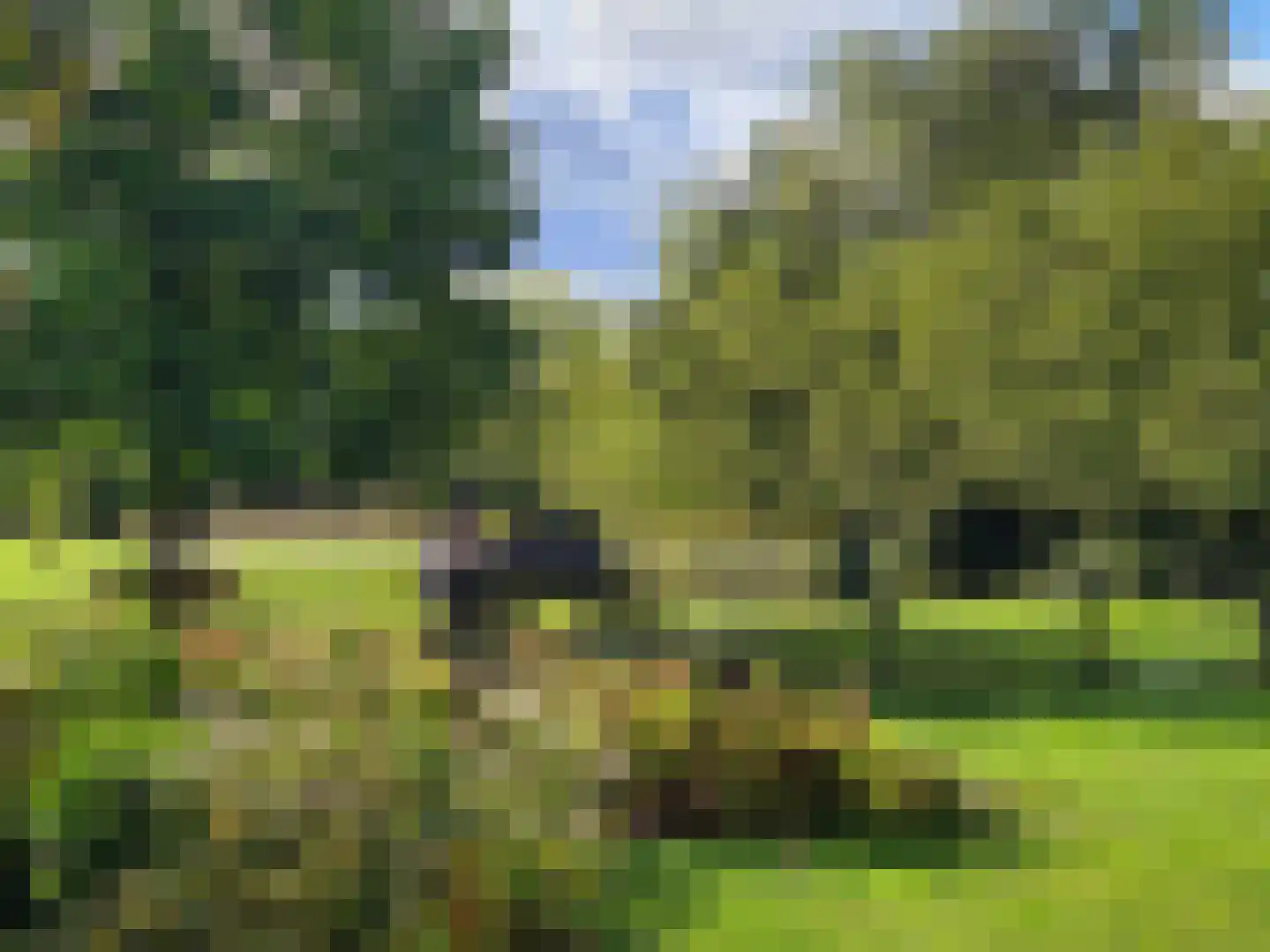 Schotweg 11 Hulshorst thumbnail 95