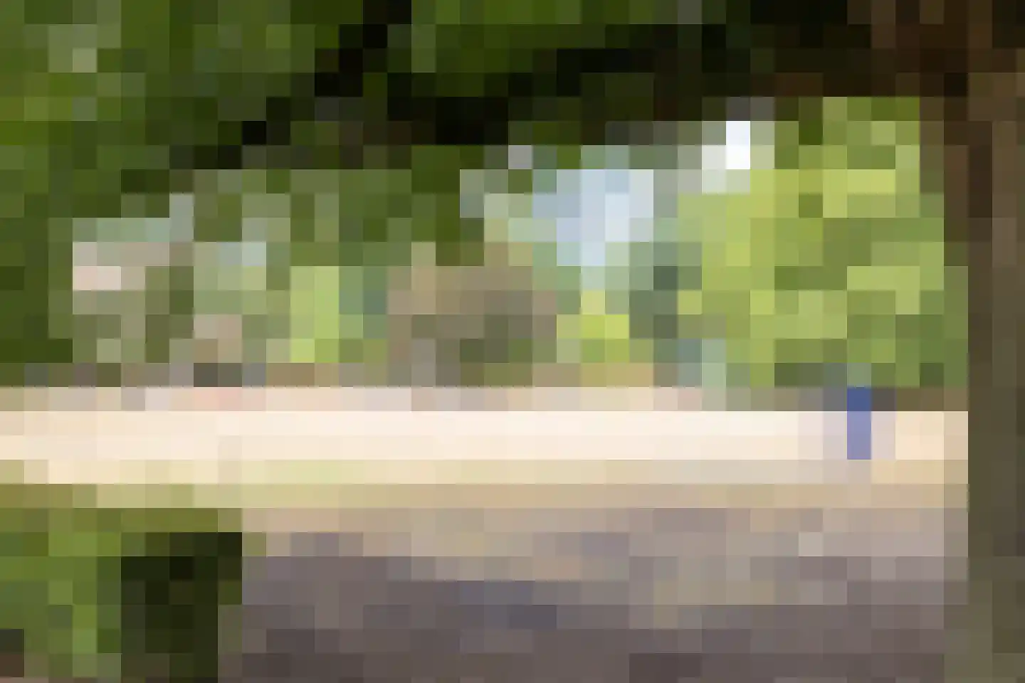Schotweg 126 Apeldoorn thumbnail 26