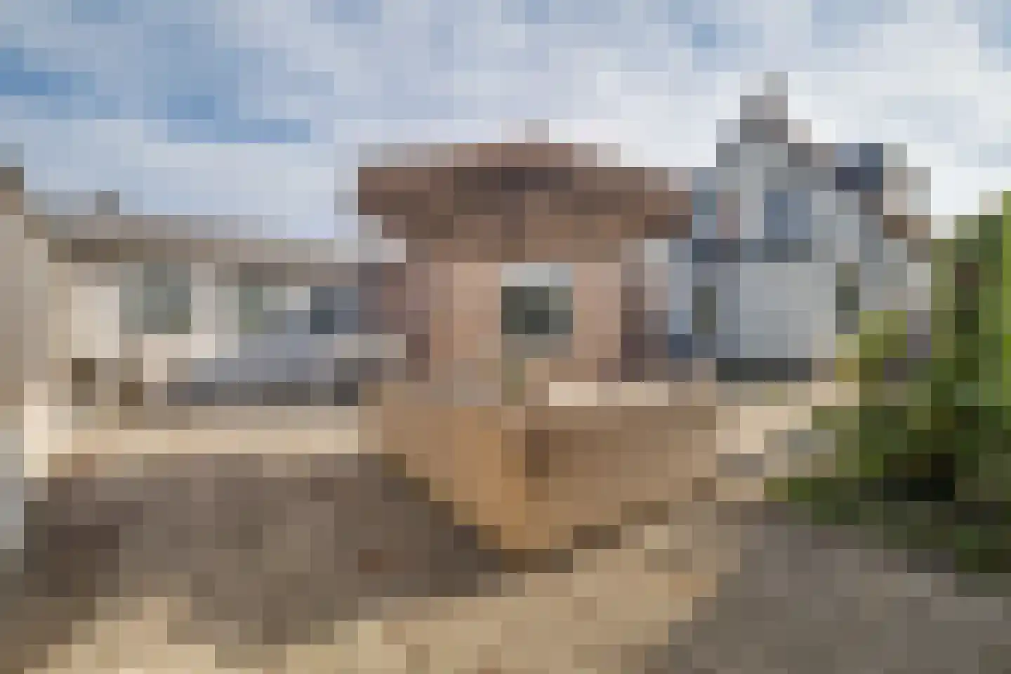Schotweg 38 Apeldoorn thumbnail 20