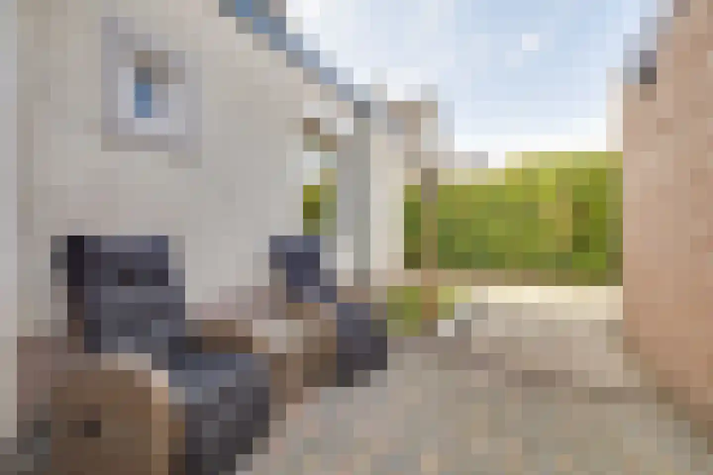 Schotweg 38 Apeldoorn thumbnail 27