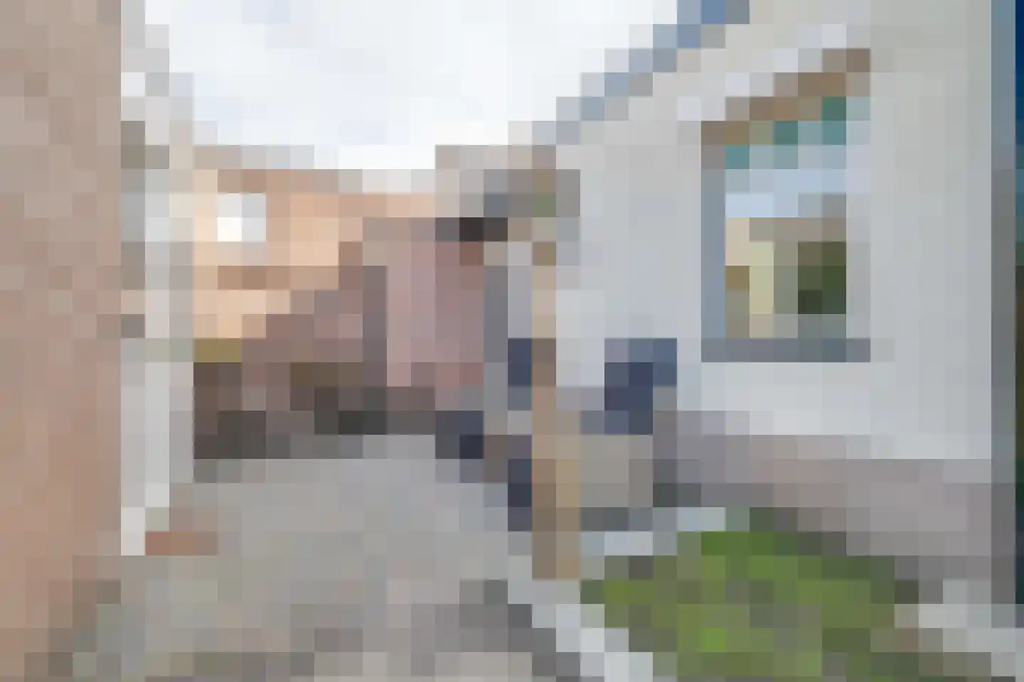 Schotweg 38 Apeldoorn thumbnail 28