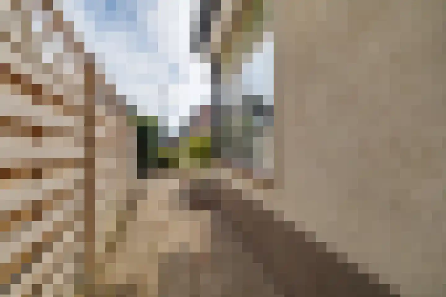 Schotweg 38 Apeldoorn thumbnail 31