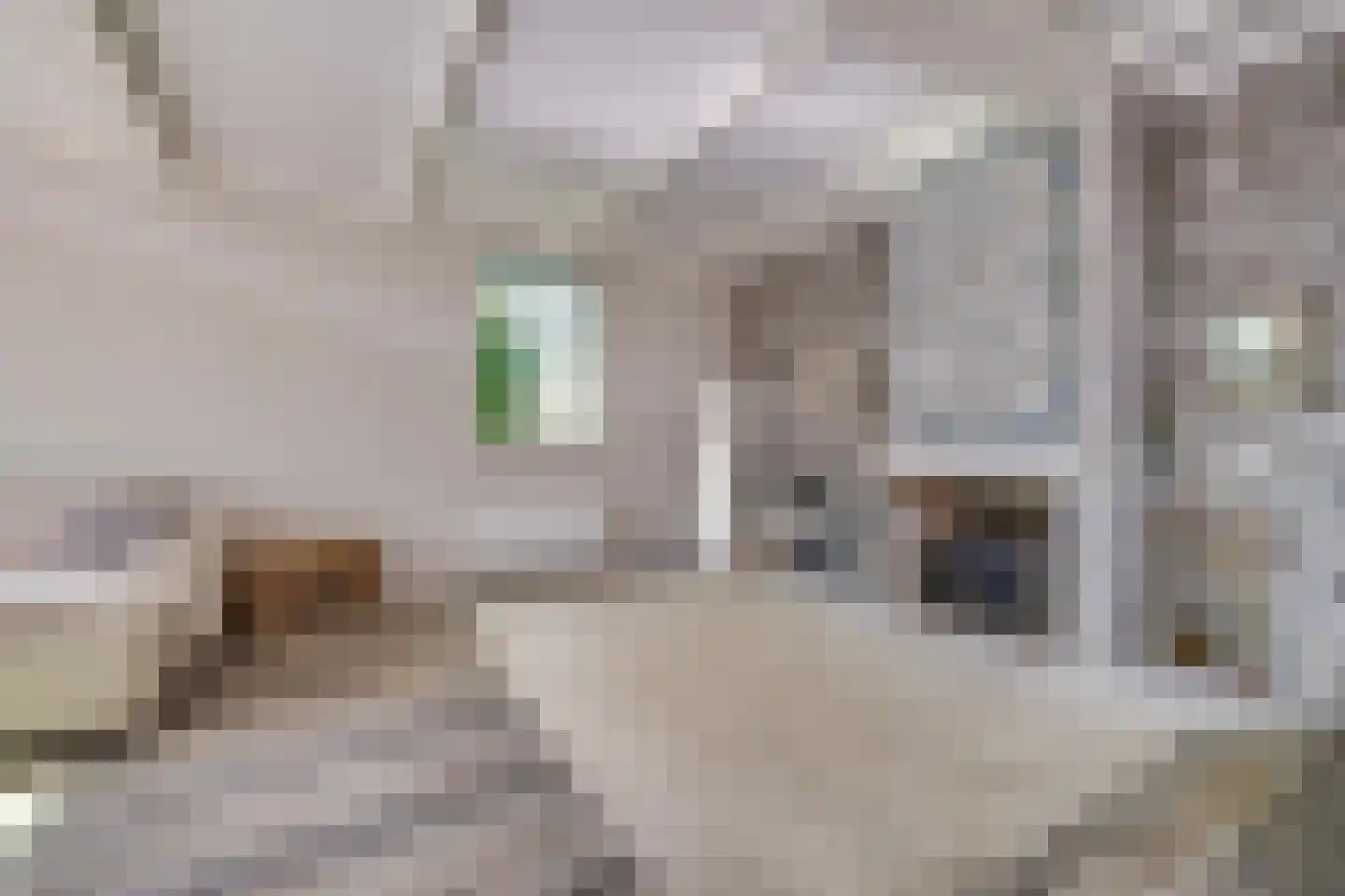 Schotweg 38 Apeldoorn thumbnail 7