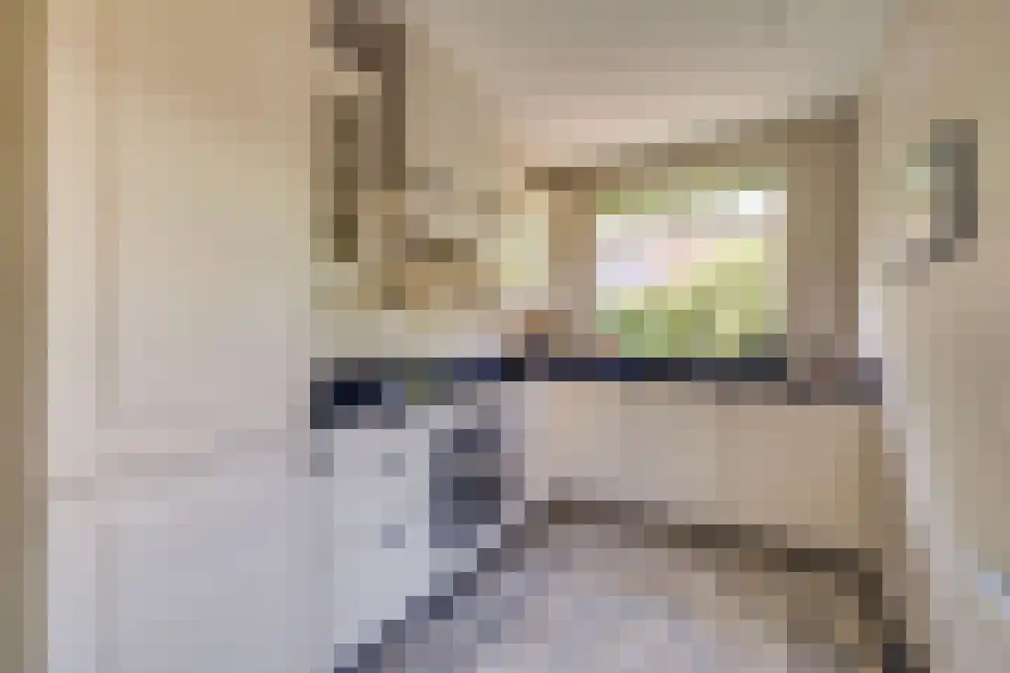 Schotweg 38 Apeldoorn thumbnail 9