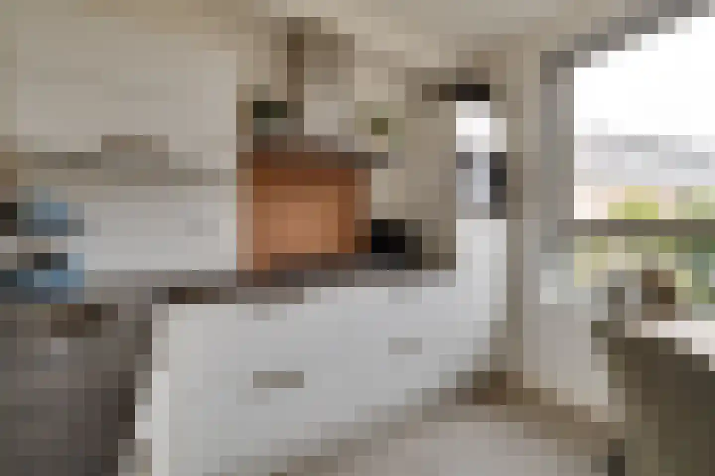 Schotweg 69 Apeldoorn thumbnail 10