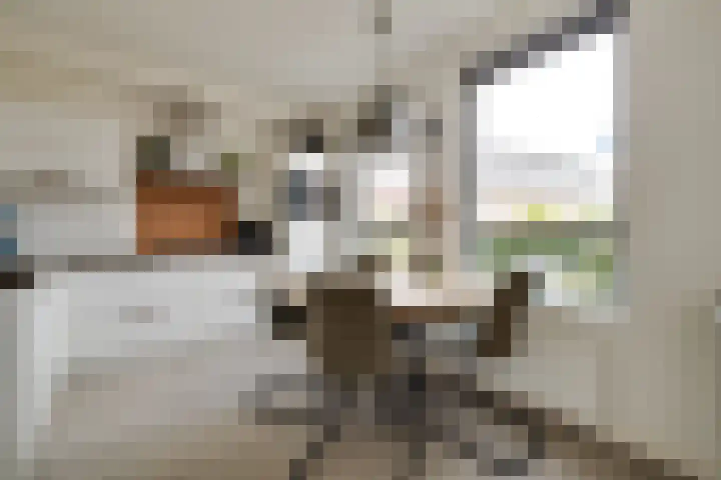 Schotweg 69 Apeldoorn thumbnail 13