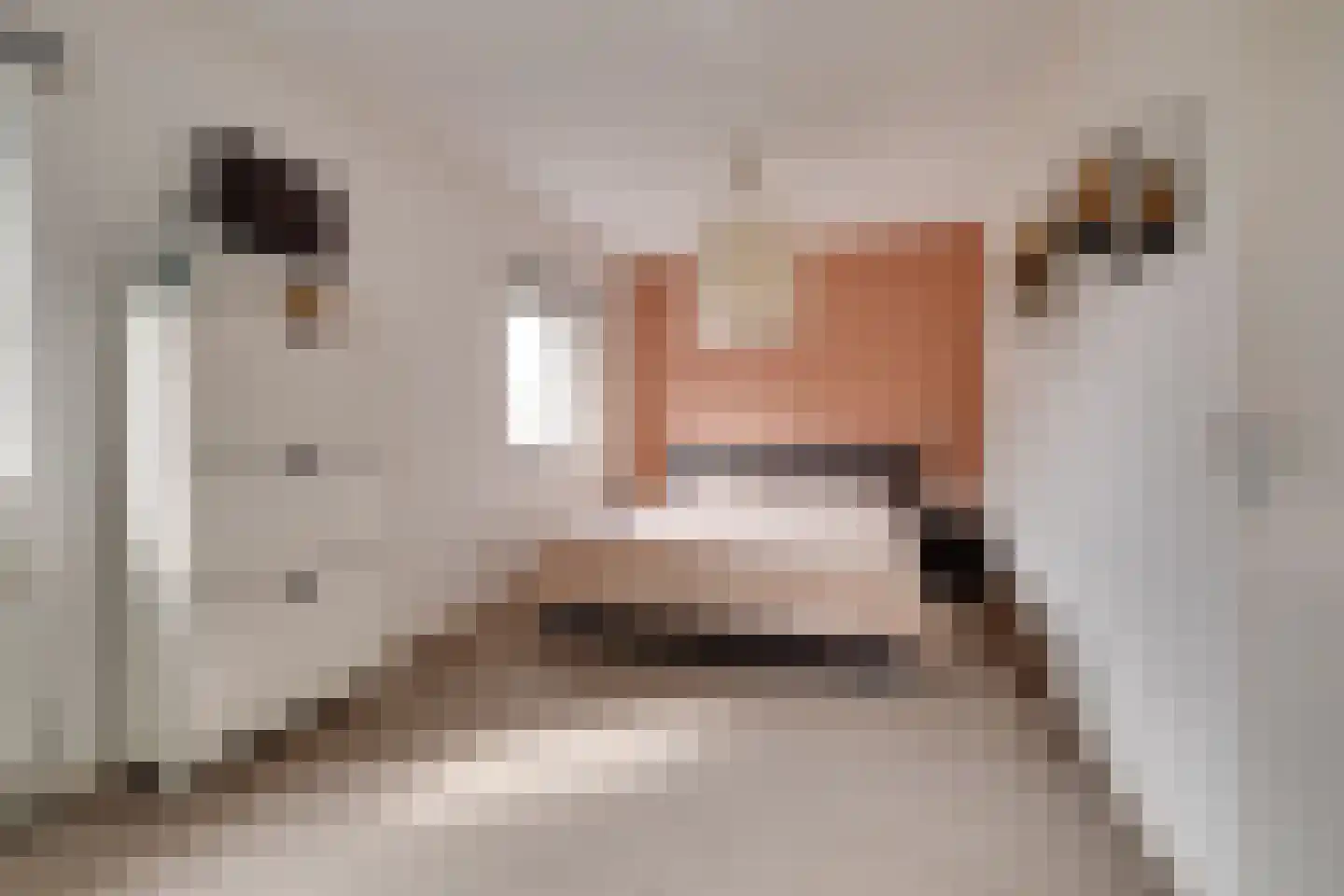 Schotweg 69 Apeldoorn thumbnail 20