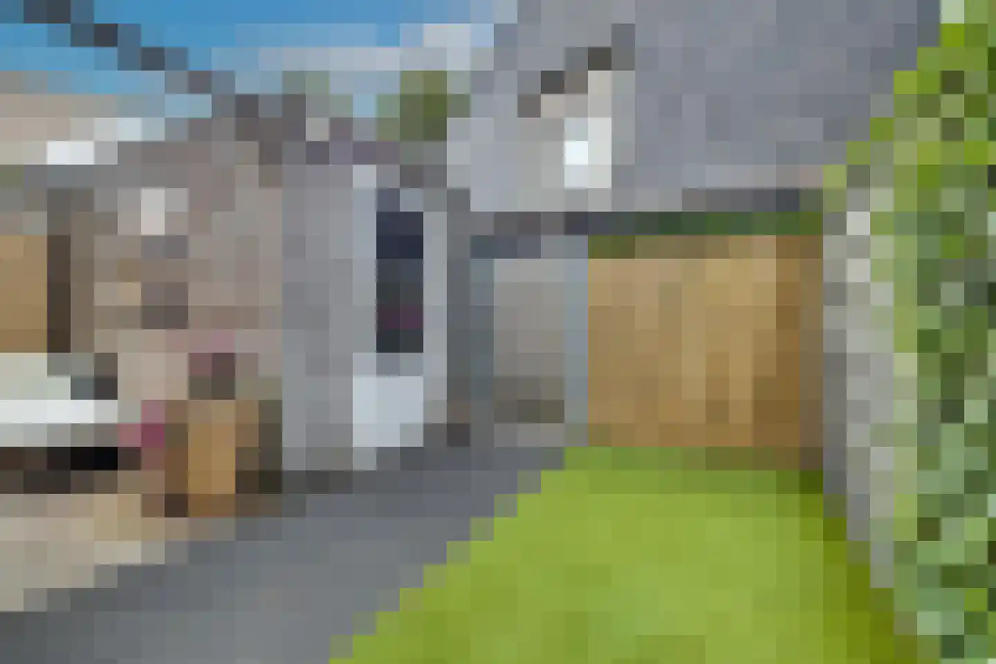 Schotweg 69 Apeldoorn thumbnail 34