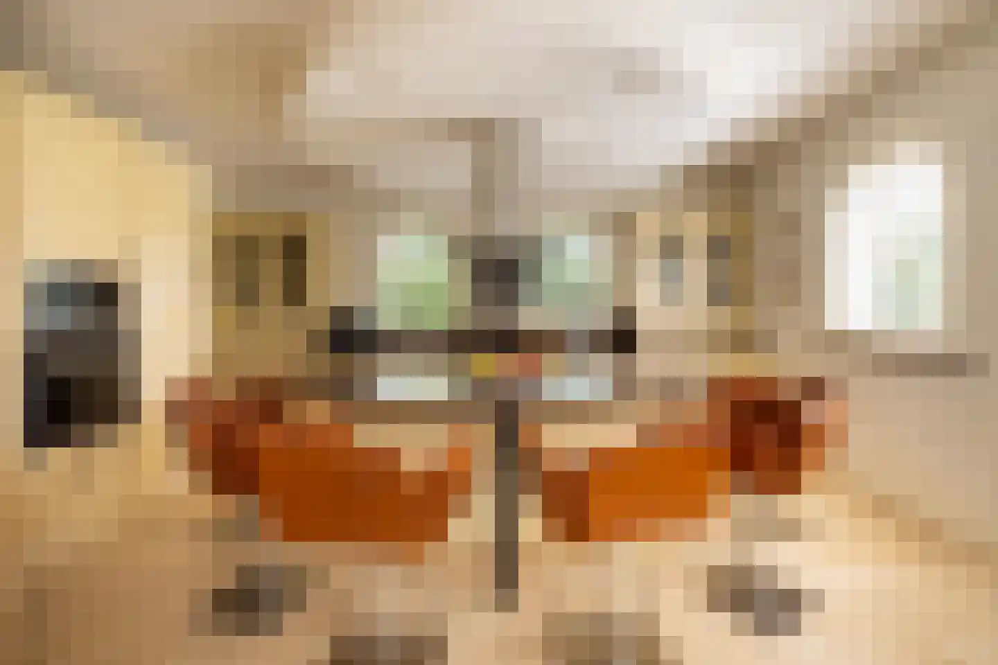 Schotweg 7 Epe thumbnail 30