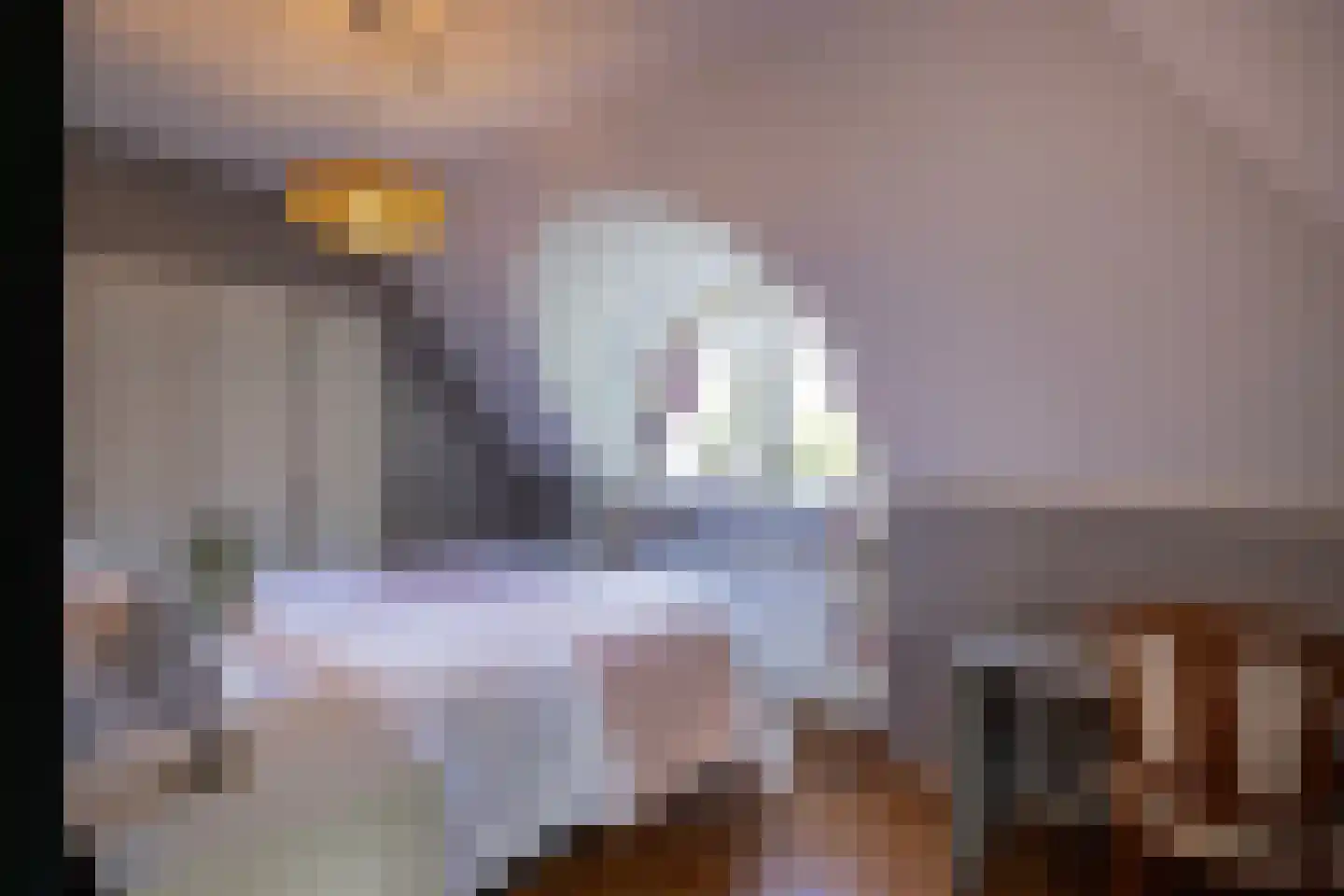 Schotweg 7 Epe thumbnail 32