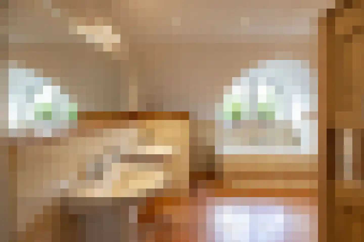 Schotweg 7 Epe thumbnail 34