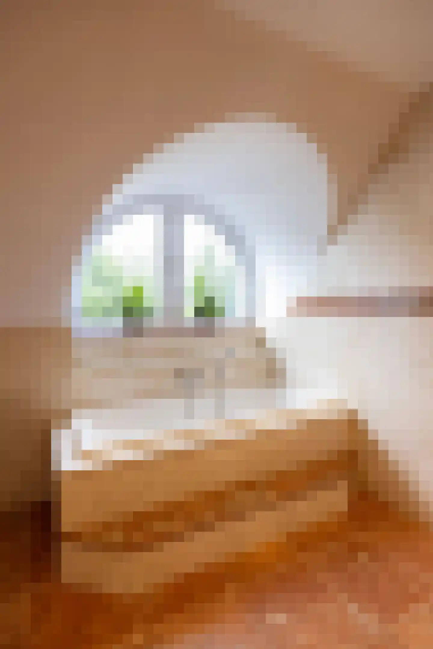 Schotweg 7 Epe thumbnail 35