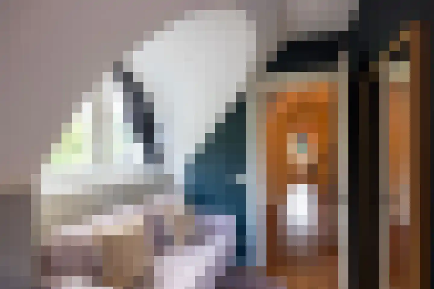 Schotweg 7 Epe thumbnail 39