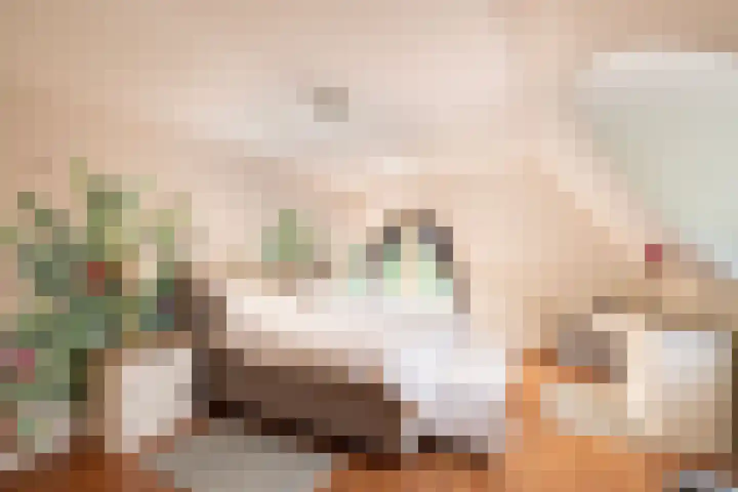 Schotweg 7 Epe thumbnail 41
