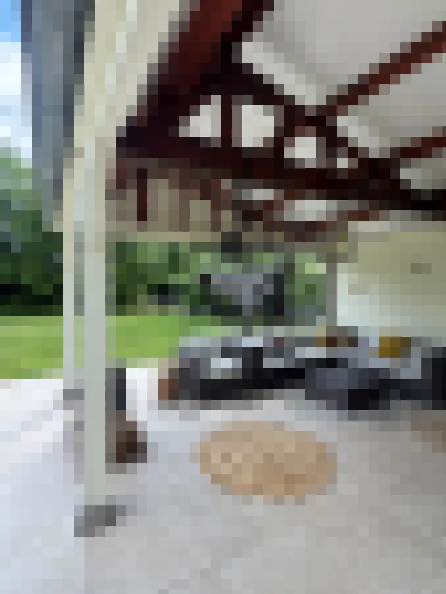 Schotweg 7 Epe thumbnail 52