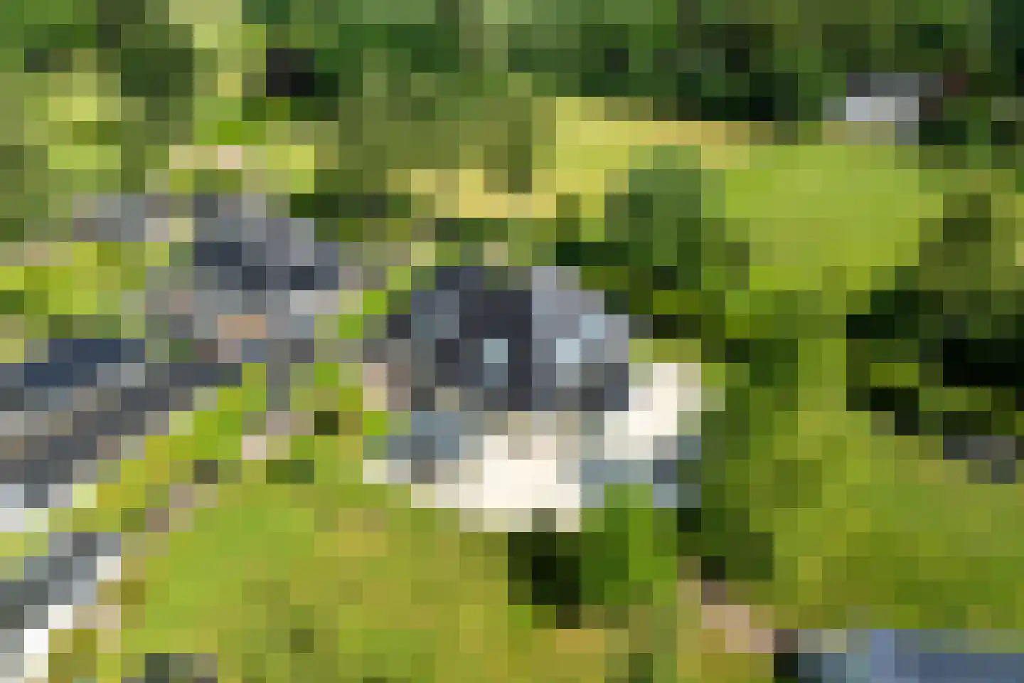 Schotweg 7 Epe thumbnail 57