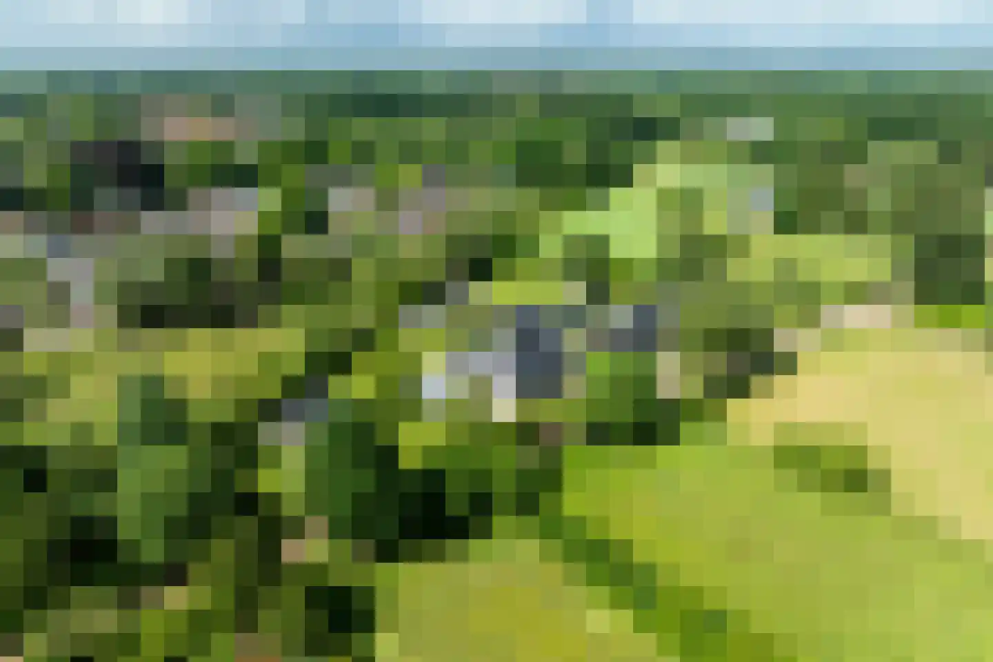Schotweg 7 Epe thumbnail 58
