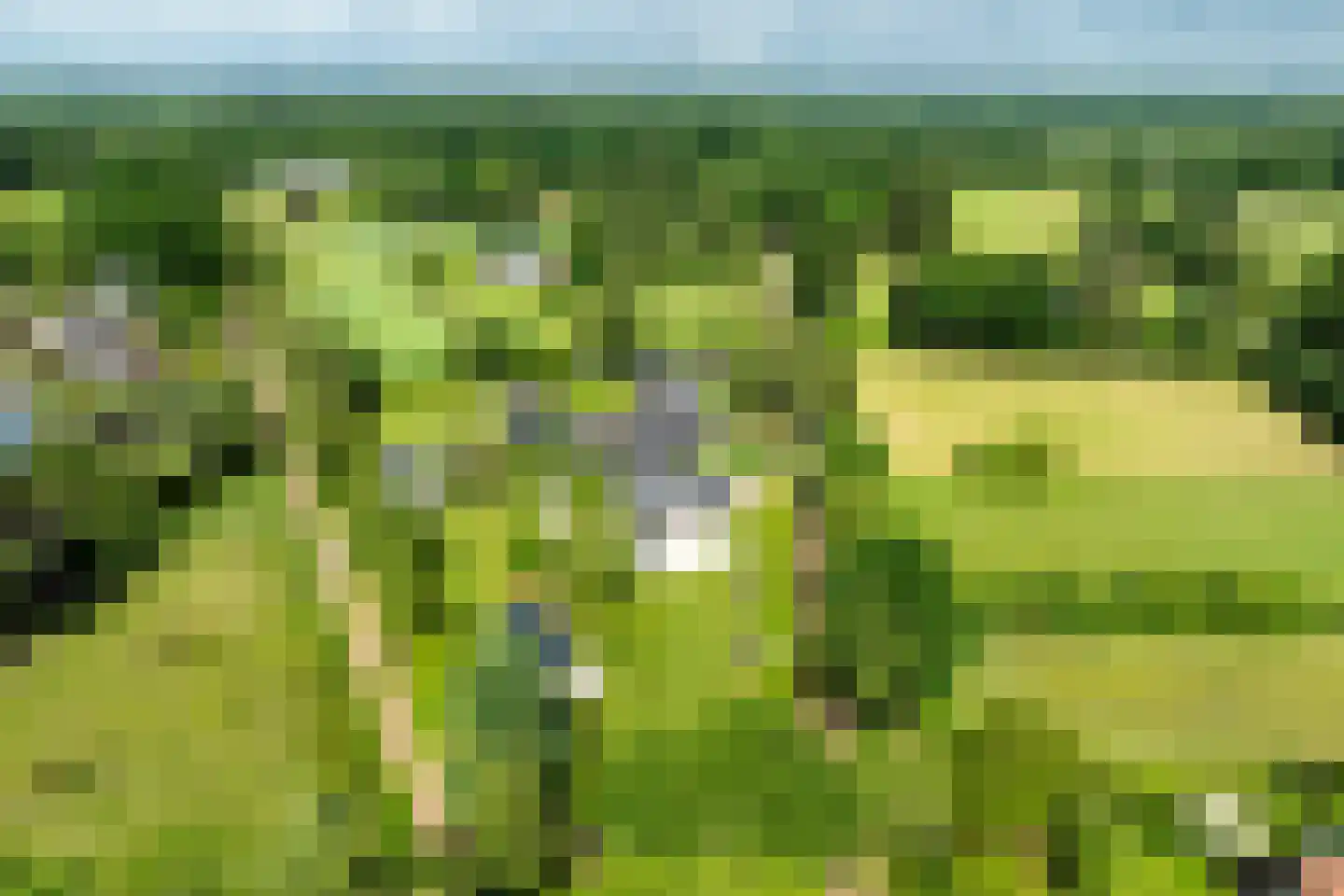 Schotweg 7 Epe thumbnail 59
