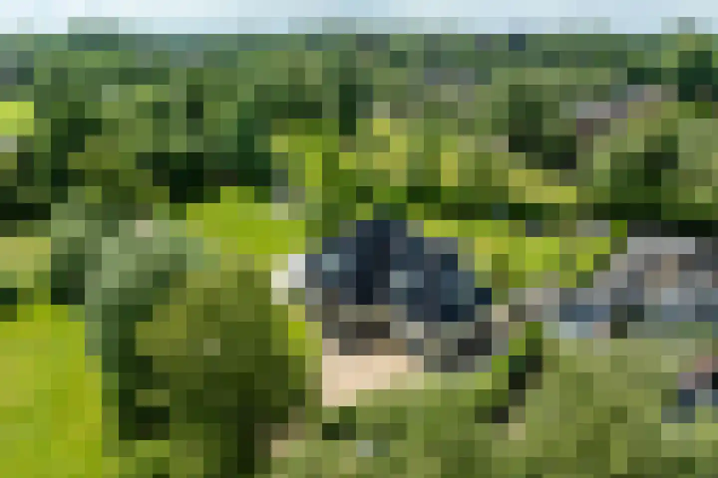 Schotweg 7 Epe thumbnail 6