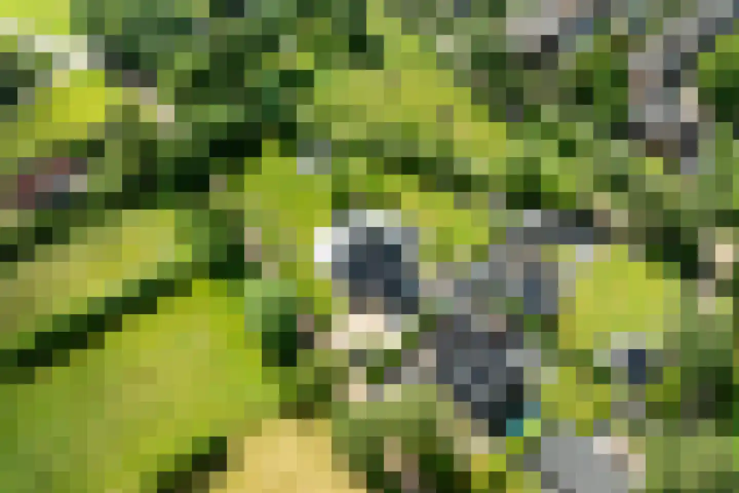 Schotweg 7 Epe thumbnail 60