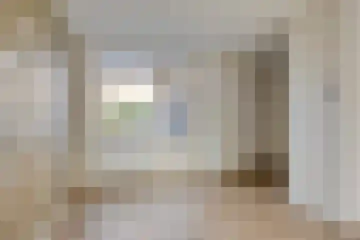 Schoudee 20 Bergen op Zoom thumbnail 10