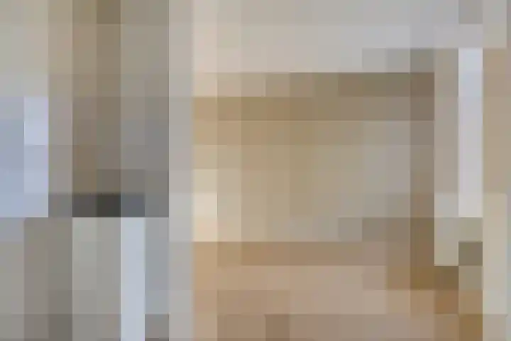 Schoudee 20 Bergen op Zoom thumbnail 12