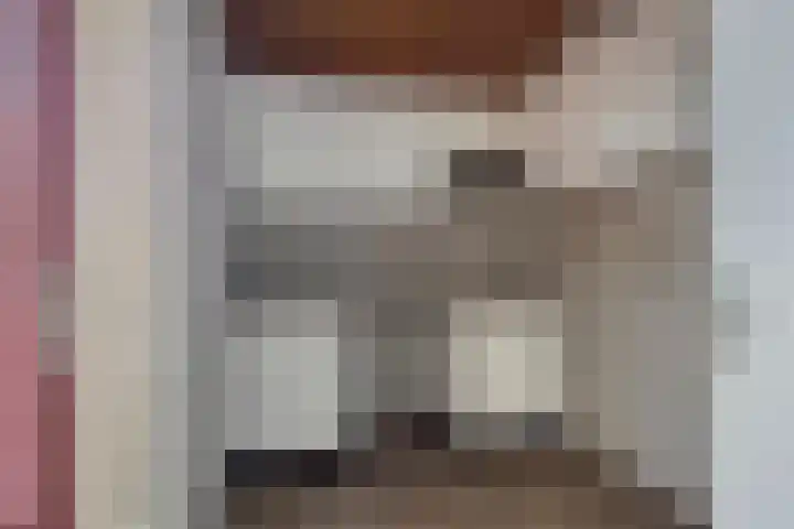 Schoudee 20 Bergen op Zoom thumbnail 13