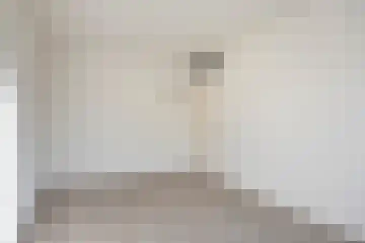 Schoudee 20 Bergen op Zoom thumbnail 17