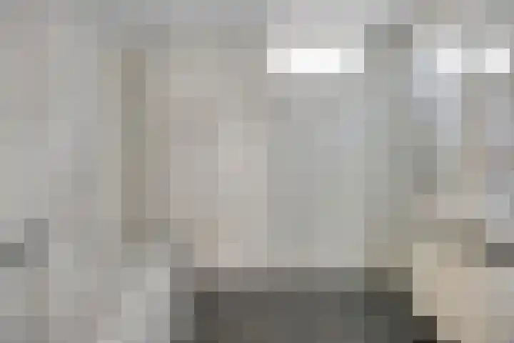 Schoudee 20 Bergen op Zoom thumbnail 18