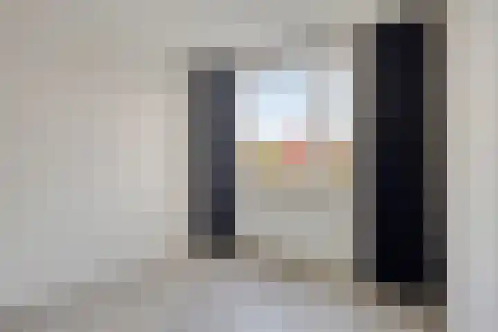 Schoudee 20 Bergen op Zoom thumbnail 20