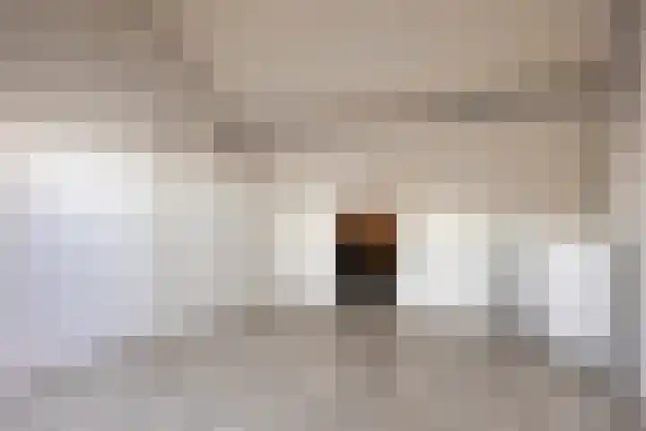 Schoudee 20 Bergen op Zoom thumbnail 28