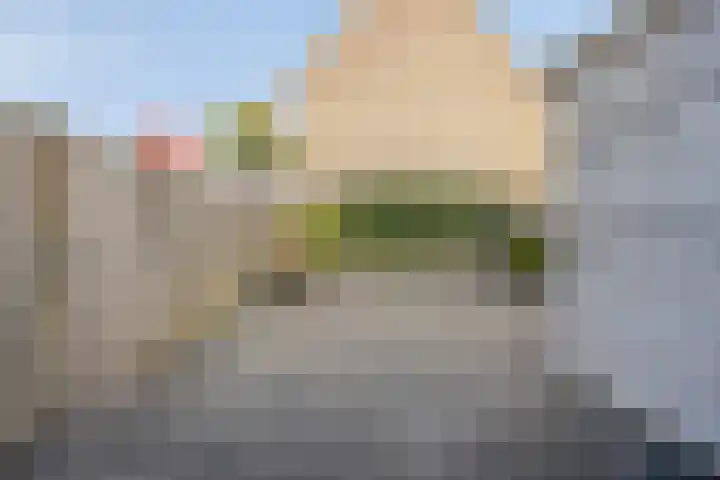 Schoudee 20 Bergen op Zoom thumbnail 29