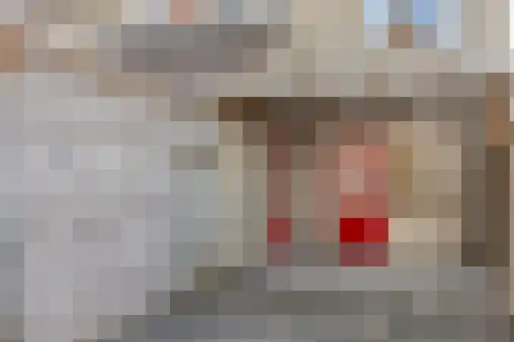 Schoudee 20 Bergen op Zoom thumbnail 31