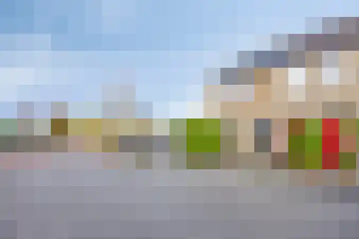 Schoudee 20 Bergen op Zoom thumbnail 4